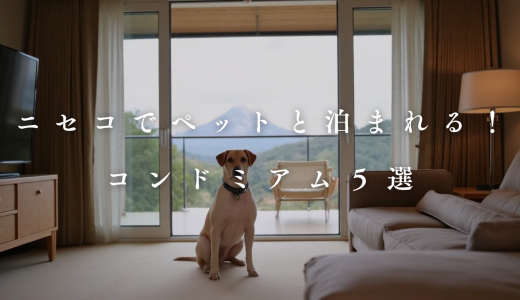 【2025】ニセコのペット可コンドミニアム厳選5選！愛犬と快適に過ごせるおすすめ宿